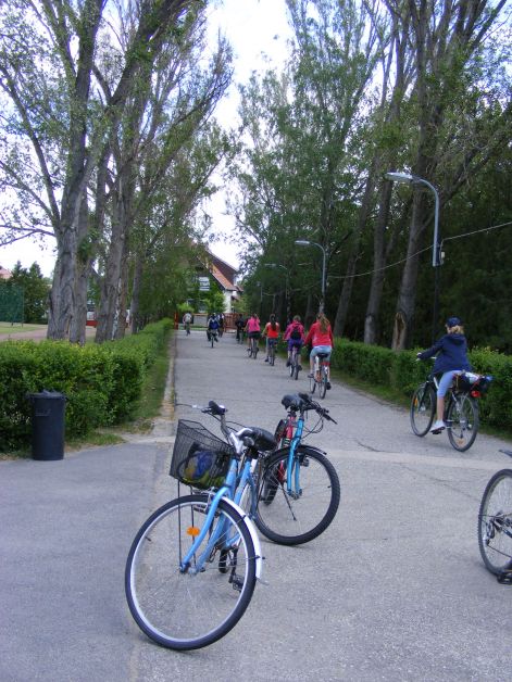 2012bicaj_7.jpg
