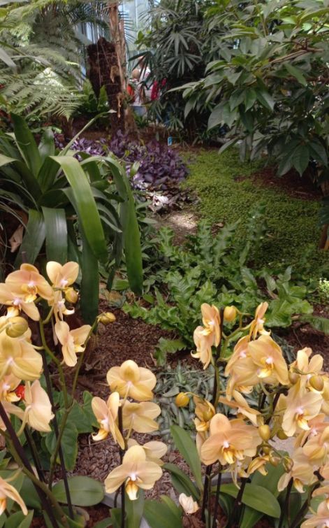 arboretum3.jpg arboretum3.jpg
